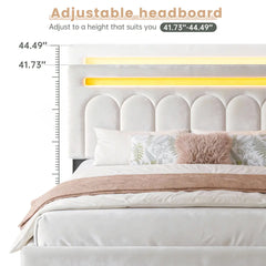 Snhomee Velvet LED Upholstered Bed Frame with 4 Storage Drawers, Adjustable Headboard Height, 1000 lbs Heavy-Duty Platform Bed with Wooden Slats, Noise-Free, Easy Assembly