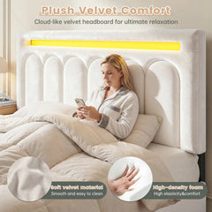 Snhomee Velvet LED Upholstered Bed Frame with 4 Storage Drawers, Adjustable Headboard Height, 1000 lbs Heavy-Duty Platform Bed with Wooden Slats, Noise-Free, Easy Assembly