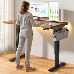 Snhomee Electric Standing Gaming Desk with LED Lights, Adjustable Ergonomic Home Office Desk for Bedroom