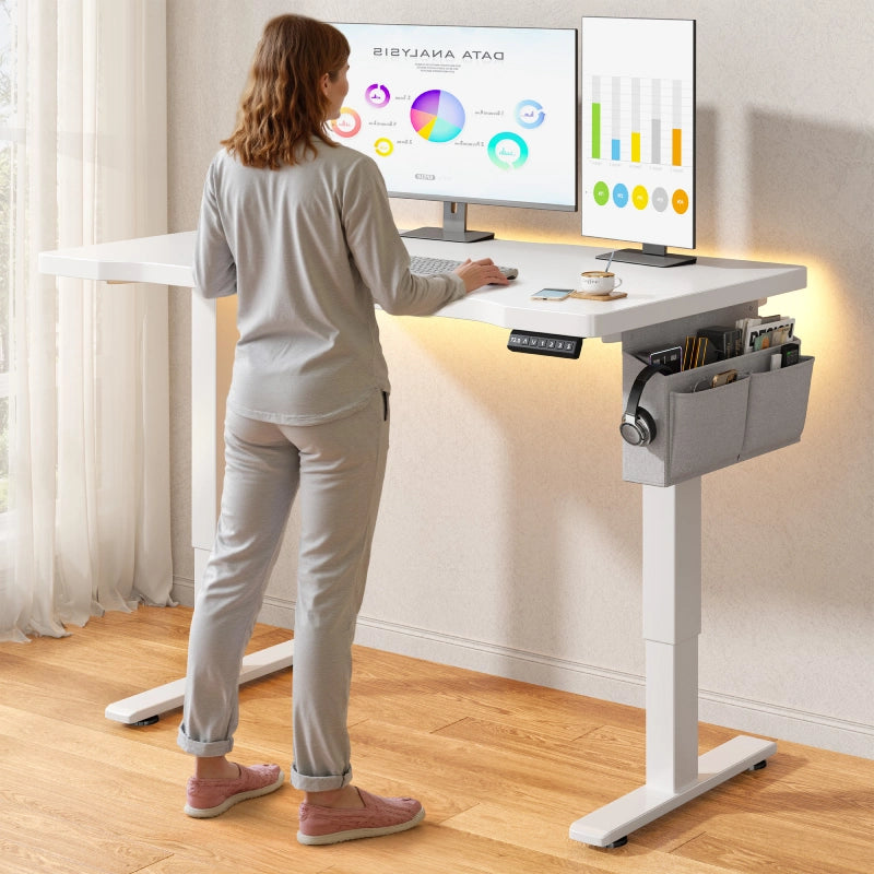 55x24 Electric Standing Gaming Desk with LED Lights, Adjustable Ergonomic Home Office Desk for Bedroom