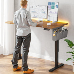56x24 Electric Standing Gaming Desk with LED Lights, Adjustable Ergonomic Home Office Desk for Bedroom