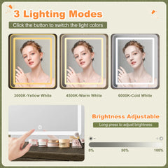 Snhomee Farmhouse Makeup Vanity Desk with LED Mirror & RGB Cabinets – Storaging with Drawers & Shelves, Ideal for Organizing Seasonal Skincare in Bedroom or Dressing Room