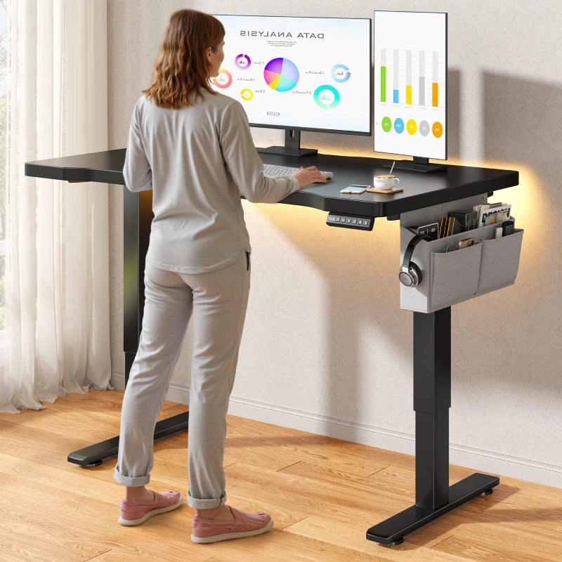 56x24 Electric Standing Gaming Desk with LED Lights, Adjustable Ergonomic Home Office Desk for Bedroom